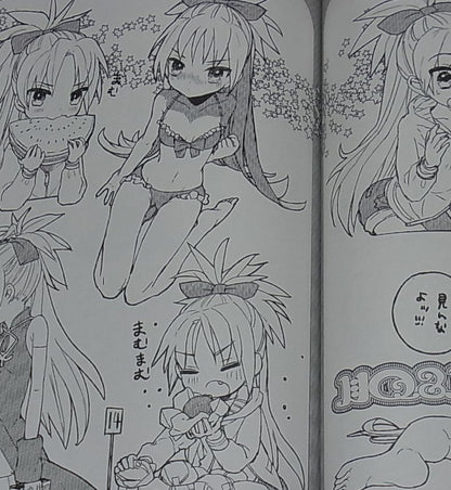 WADA ARCO RCOWADA PUELLA MAGI MADOKA Fan Art Doujinshi M2 