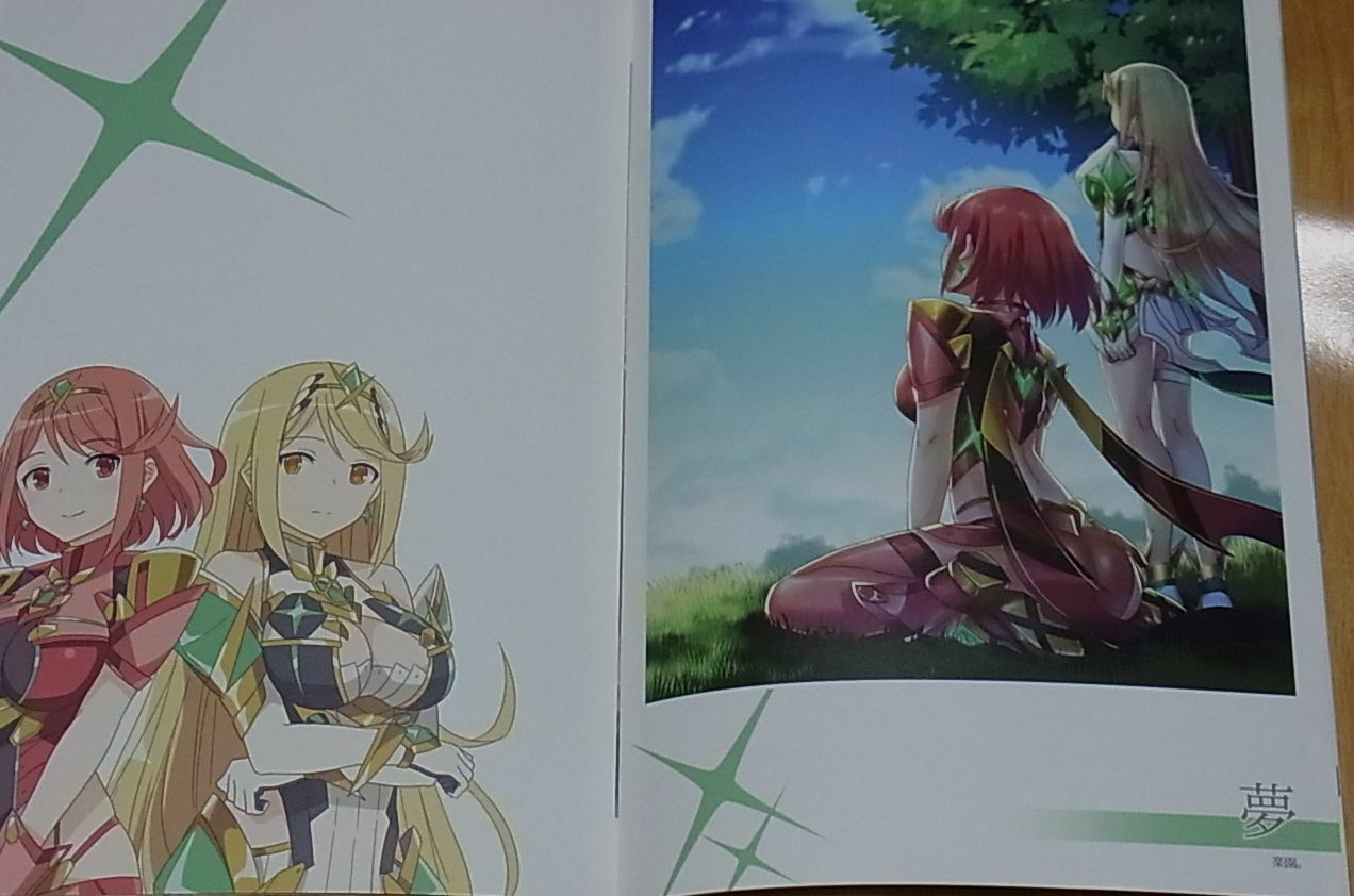 Sansyoku Dango Xenoblade2 Color Fan Art Book JUMP! C95 