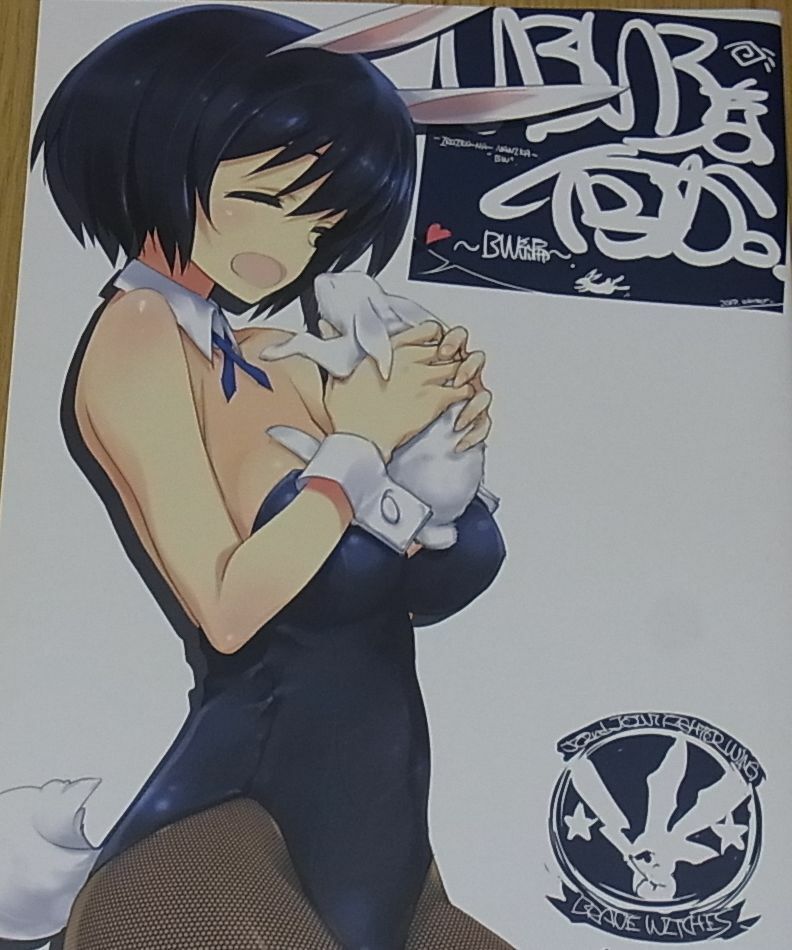 Tomoyasu Kurashima Brave Witches Color Fan Art Book Iroiro BW 