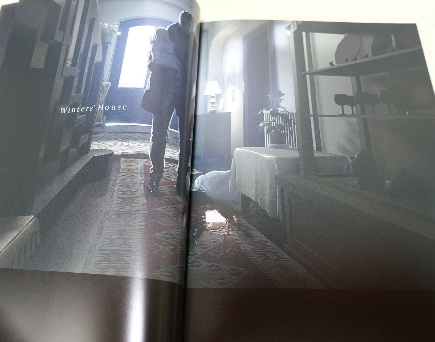 RESIDENT EVIL 8 VIL.I.AGE Visual Art Book BIOHAZARD VILLAGE 