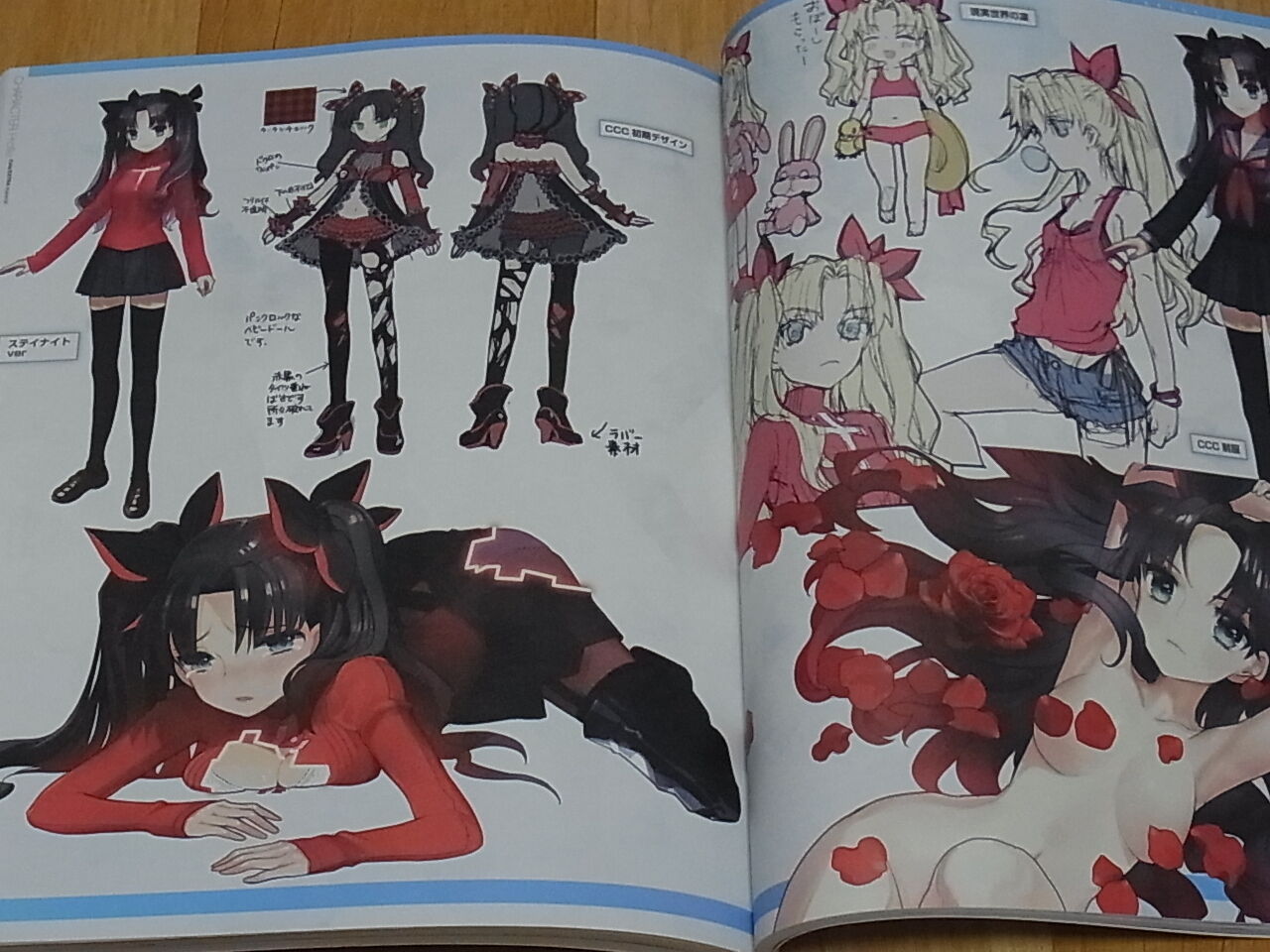 TYPE-MOON Fate EXTRA material Arco Wada 