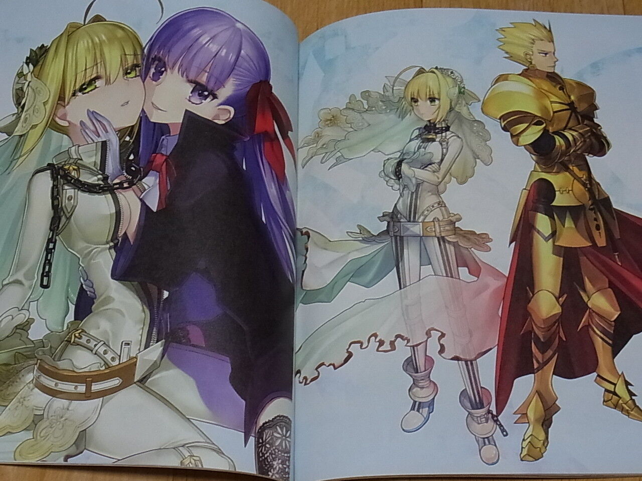 TYPE-MOON Fate EXTRA material Limited Version Arco Wada 226 & 50 page 