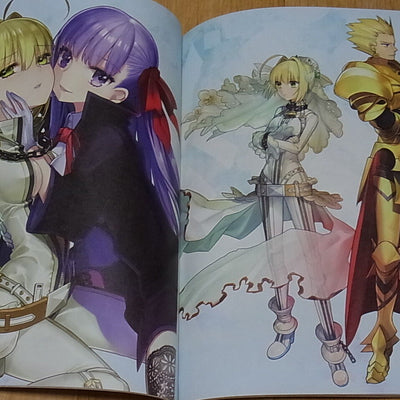 TYPE-MOON Fate EXTRA material Limited Version Arco Wada 226 & 50 page 