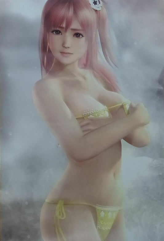 DEAD OR ALIVE 5 Last Round B2 SIZE Bath Room POSTER Honoka DOA5 