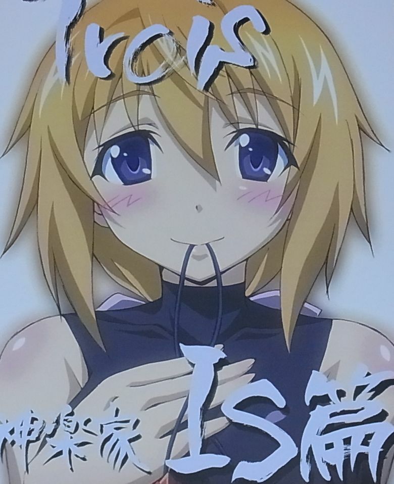Kaguraya Infinite Stratos Animation Staff's Fan Art Book IS hen 3 