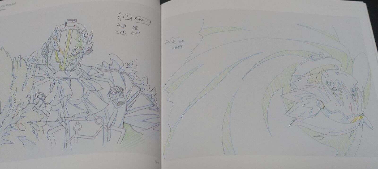 Animation Maid in Abyss Special Booklet Dawn of the Deep Soul Design & Key Frame 