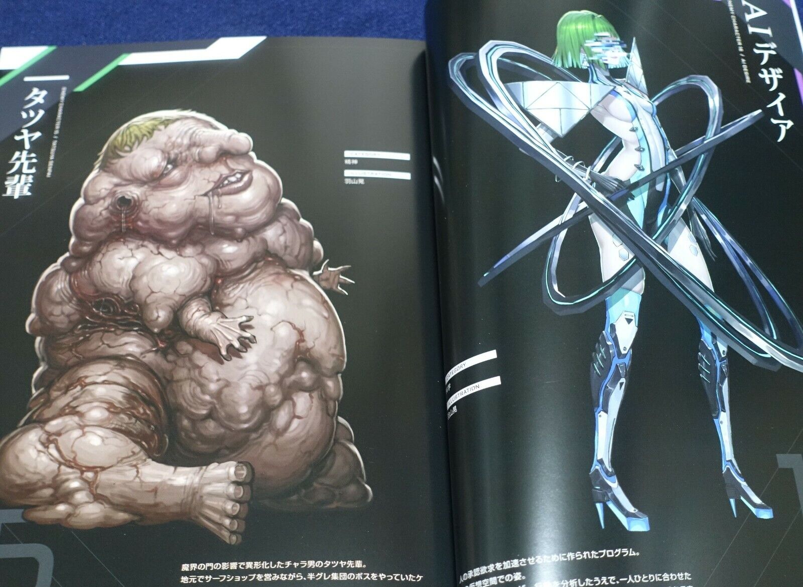 Lilith TAIMANIN RPGX CHARACTER VISUAL ART BOOK Vol.05 ASAGI 