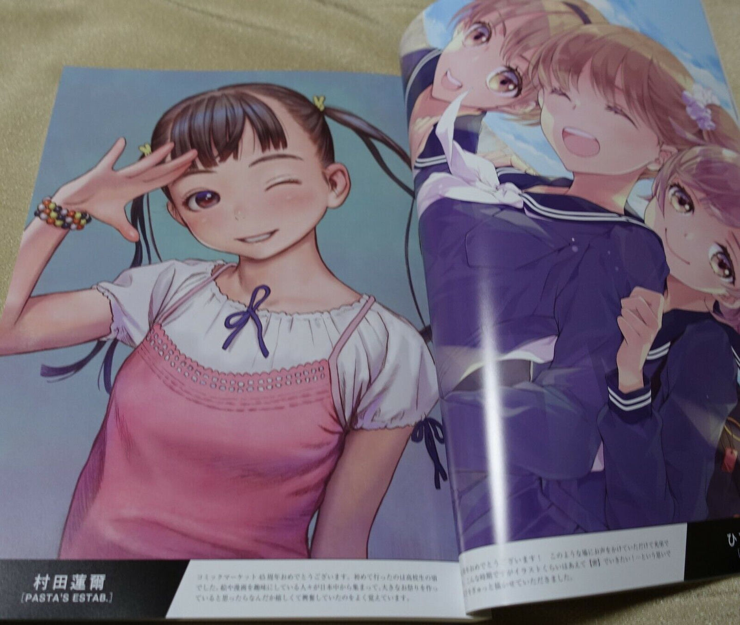 Comiket COMIC MARKET 45th Anniversary Book Air Comike2 with PVC Case 