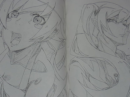 Yataneko IDOL Bakemonogatari Animation Staff's Fan Art Book Shinomonogatari 