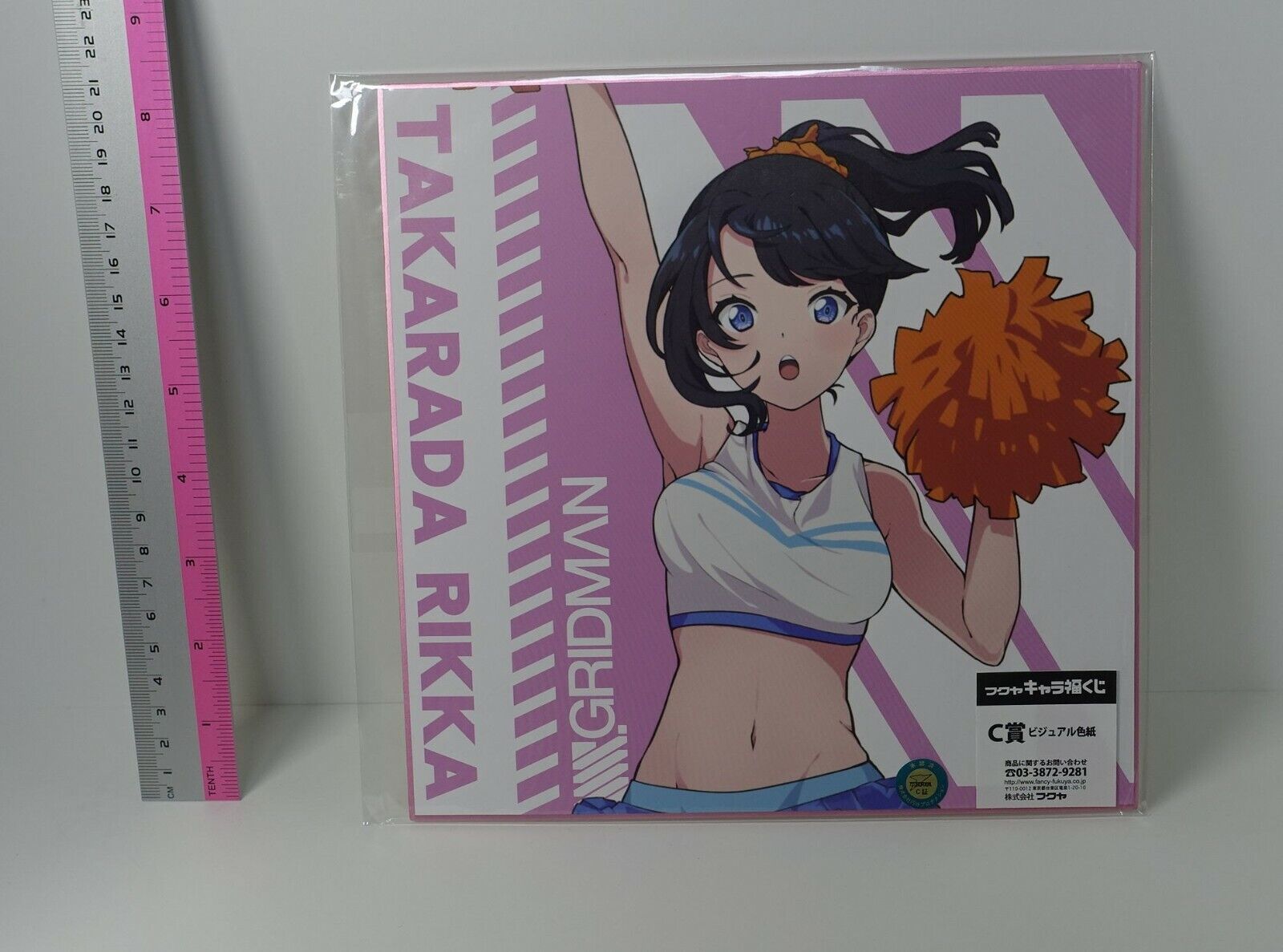 SSSS.GRIDMAN Print Shikishi Art Board Rikka 