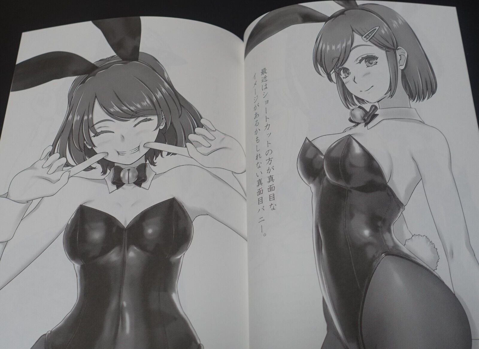 Ekibyou Usotetsugaku Original Bunny Girls Art Book Another Bunny Scribbles C102 