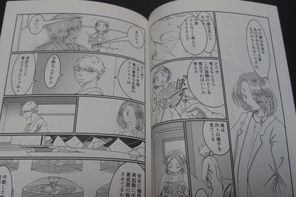 Kakiflyteishoku Houseki no Kuni Land of the Lustrous Lunarians Fan Made Comic 