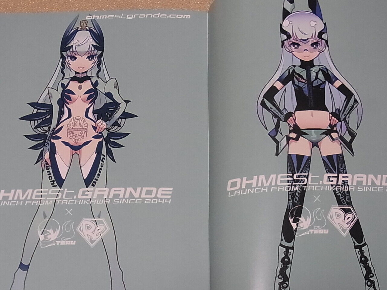 Teruhiko Imaizumi Color Illustration Art Book TOYBOX 14 C97 
