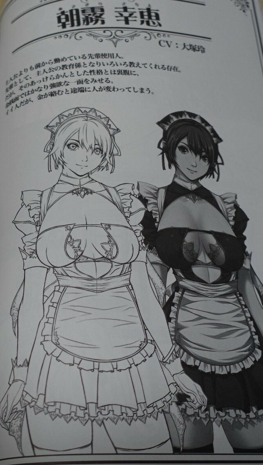 Empress Seishojo STARLESS Line Art Work Book 