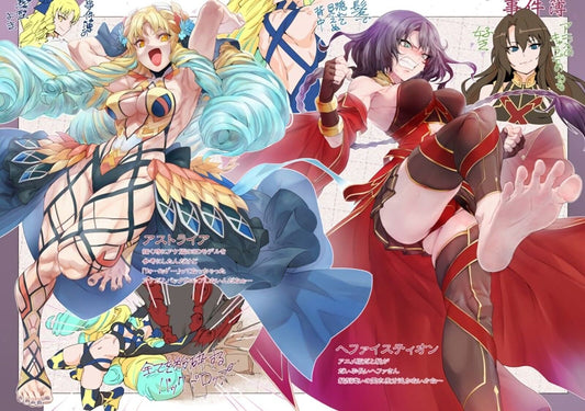 Torichamaru Fate FGO Fan Art Book FOOT Grand Order EX Namashi 