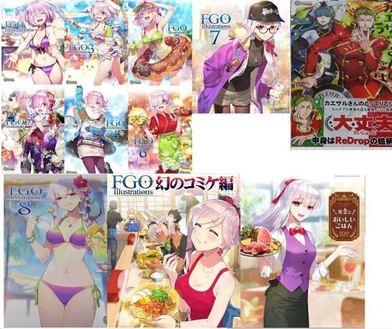 ReDrop Fate Grand Order FGO Official Designer's Fan Art Book 11 Set 