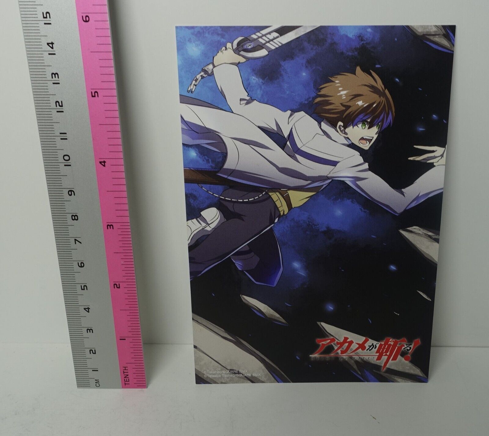 Akame ga Kill! e-Wondergoo Privilege Art Post Card Tatsumi B 