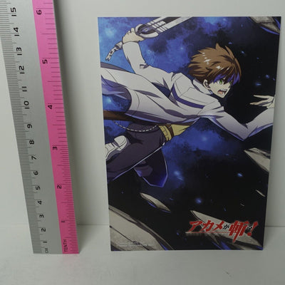 Akame ga Kill! e-Wondergoo Privilege Art Post Card Tatsumi B 