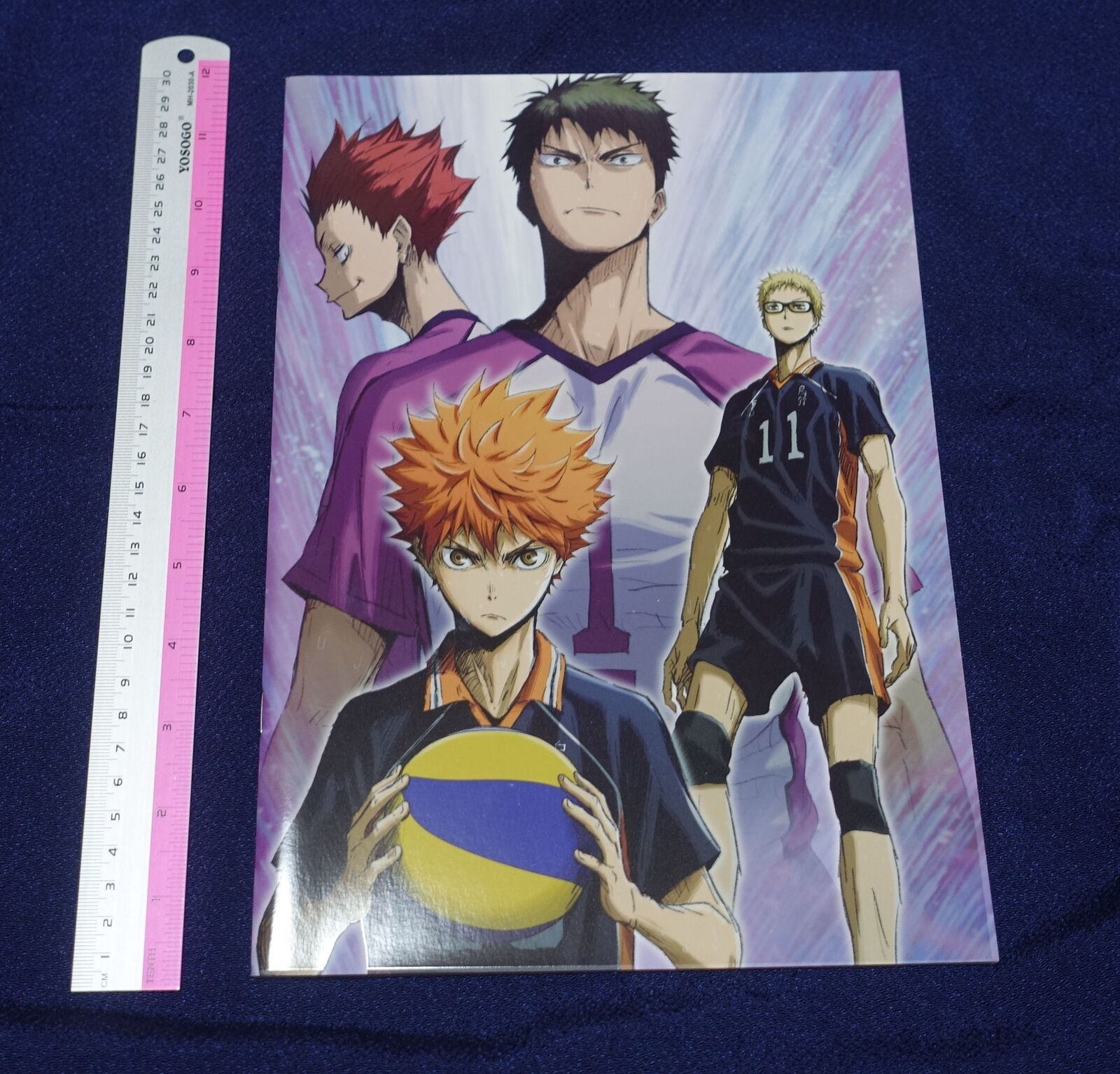 Haikyu! The Movie Battle of Concepts Brochure Pamphlet 