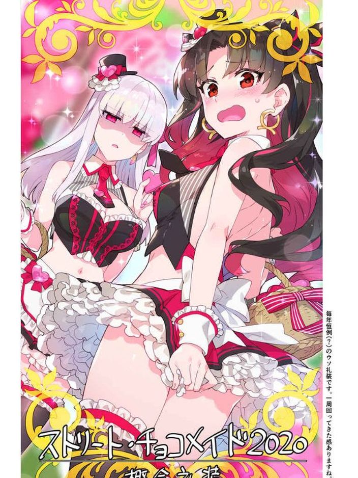 Redrop Fate FGO Color Fan Art Book FGO Illustrations Air Comiket ver C98